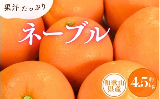 
                  ネーブル 約4.5kg/サイズおまかせ　※2027年1月中旬～2027年2月中旬頃に順次発送予定(お届け日指定不可)　紀伊国屋文左衛門本舗【ntb431D】
                