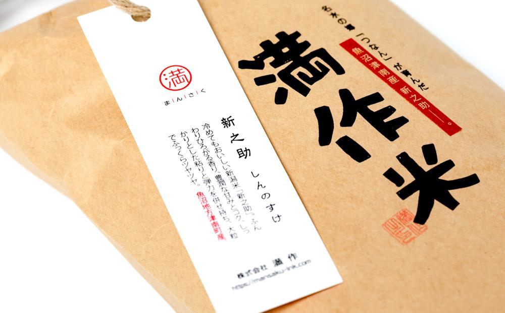【令和8年産 先行予約】【6ヶ月定期便】合計60kg（10kg×6回） 県認証 魚沼産新之助129403-035