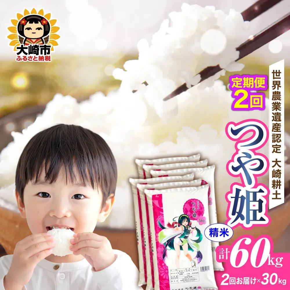 定期便《精米》令和7年 宮城県産 つや姫  30kg(5kg×6)×2回（計60kg） | ot004-th-30kg-r704-t2