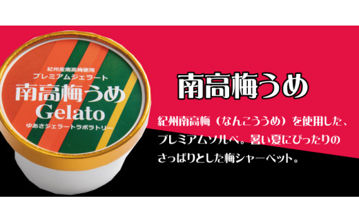 プレミアムジェラート 南高梅うめソルベ12個セット アイスクリームセット 100mlカップ ゆあさジェラートラボラトリー【ntbt700-06】