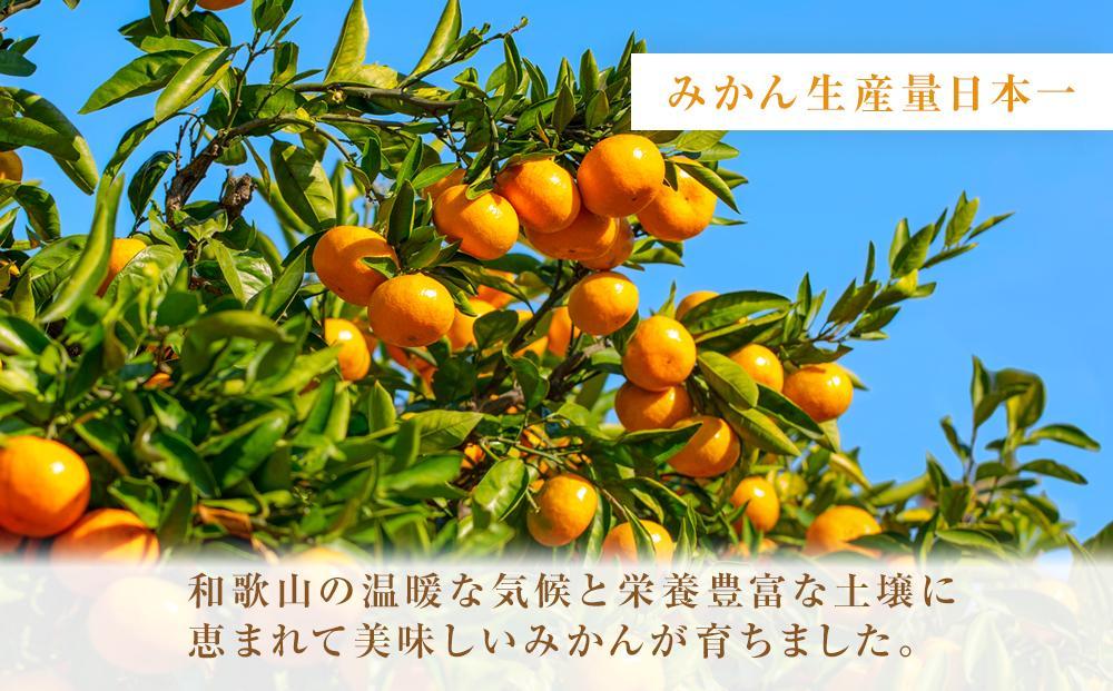 フルーツ丸ごと田村みかんゼリーセット 12個入［プレミア和歌山認定］高級『田村みかん』を丸ごと使用！［MG73］