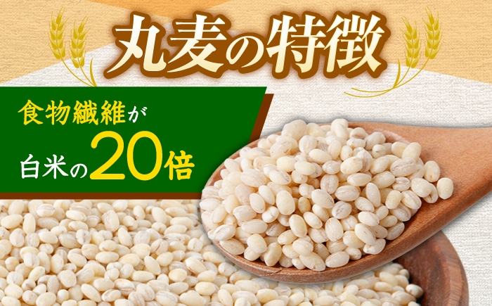  長崎県産 丸麦 20kg  麦 むぎ 雑穀 雑穀米 麦ごはん 麦みそ 麦味噌 食物繊維