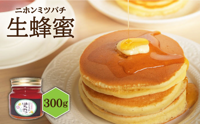 
                  ニホンミツバチ 生蜂蜜 300g《壱岐市》【憲ちゃんハチミツ】[JCL002] はちみつ ハチミツ 蜂蜜 日本蜜蜂 国産 非加熱 17000 17000円
                