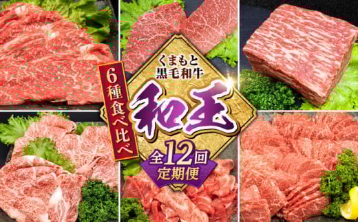 【全12回定期便】 熊本県産 A5等級 黒毛和牛 和王 食べ比べ 牛肉 和牛 国産【帝神志方ミート 株式会社】 [AYCH058]
