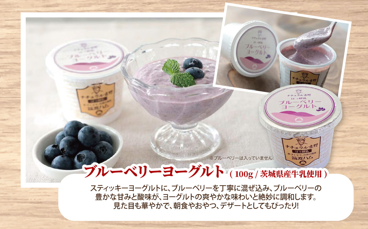 【 筑波ハム 】 ブルーベリー ご褒美ヨーグルト ギフトセット【 筑波ハム ヨーグルト クリームチーズ チーズ ブルーベリー ご褒美 乳 腸活 美容 健康 ギフト 贈答 茨城県産 国産 つくば市 】