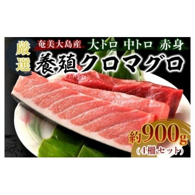奄美大島産養殖クロマグロ(4柵セット)【配送不可地域：離島】【1402681】