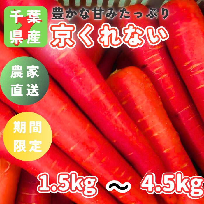【ふるさと納税】冬採れ「京くれない（リコピンにんじん）」八街の農家直送野菜！あま〜い人参をどうぞ。