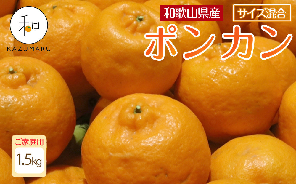 
            家庭用 森本農園の手選別 ポンカン 1.5kg 和歌山県産 サイズ混合 ［北海道・沖縄・離島配送不可］［RN11］［2026年1月上旬から順次発送］
          