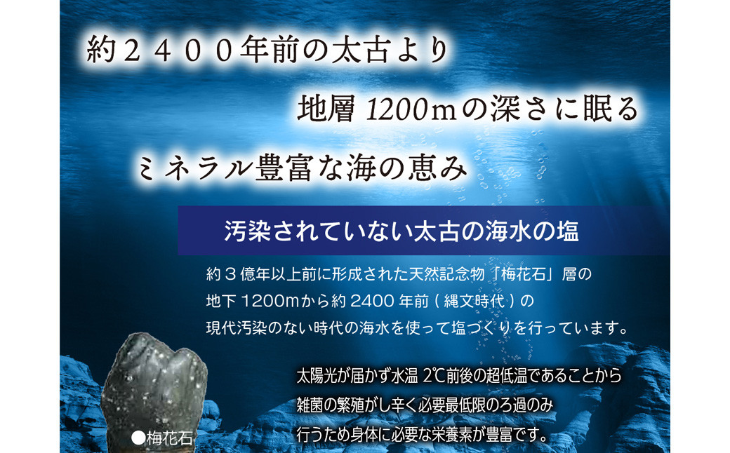 本格備長炭中村屋 訳あり 牛タン 関門の塩味 1kg タン 冷凍