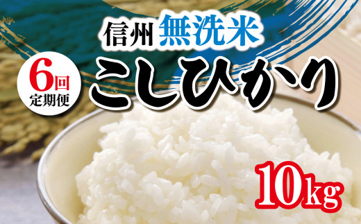 
【定期便6ヶ月】 信州米 こしひかり ( 無洗米 ) 10kg 長野県産 | 令和5年産 米 こめ 銘柄 単一米
