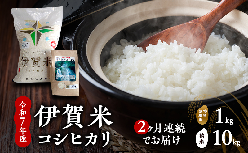 コシヒカリ 令和7年産　伊賀米コシヒカリ　10kg+特別米1kg（２ヶ月連続）白米 お米 米 ごはん もっちり 産地直送 農家直 三重県 名張市 新米 美味しい 定期便 銘柄米 令和 特別栽培米 炊き立て 食感 こだわり おいしい 旨い