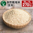 【ふるさと納税】【定期便】【1ヶ月毎9回】自然栽培米（玄米） 30kg×1袋 計270kg（30kg×9回） ミルキークイーン お米 米 玄米 単一原料米 無農薬 化学肥料不使用 有機肥料不使用 大分県産 国産 大分県 九重町 送料無料