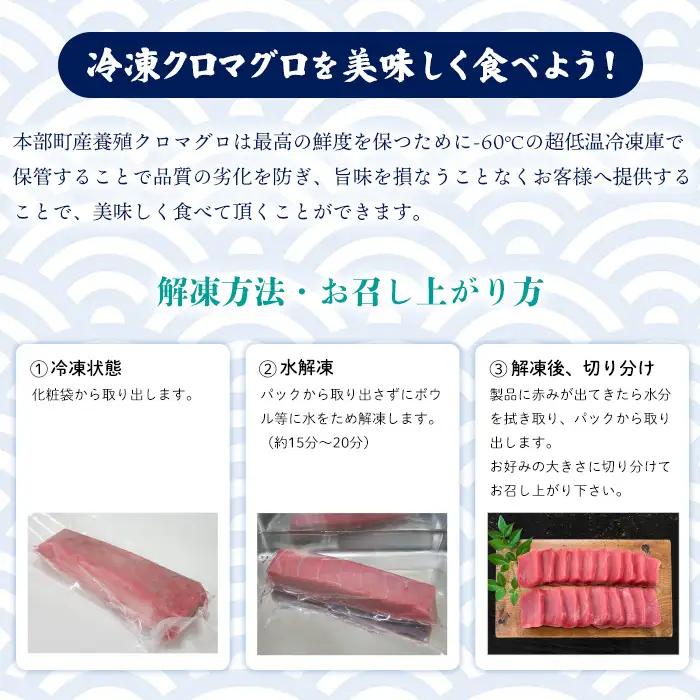 本マグロづくし（大トロ・中トロ・赤身） 本部町産 約800g～1000g マグロ