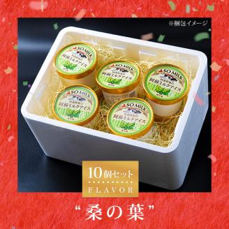 牧場直送！阿蘇ミルクアイスセット 桑の葉10個 阿部牧場 牧場 アイス 10個 牛乳 ミルク MILK 乳製品 最優秀味覚賞 人気 濃厚 こだわり 桑の葉 セット 詰め合わせ スイーツ デザート 熊本