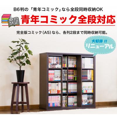 ふるさと納税 海南市 スライド本棚 ダブル ナチュラル AKU100549801 |  | 01