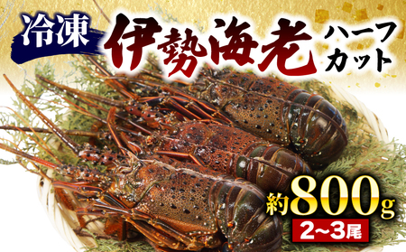 伊勢海老 800g 冷凍 ハーフカット 伊勢海老