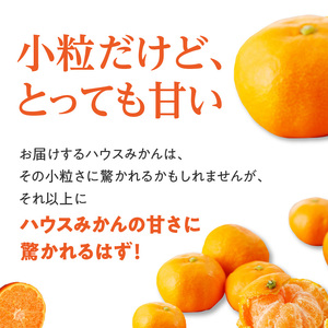 ★予約受付★【2025年6月以降配送】佐賀県産ハウスみかん　約1.5kg【件数限定】【A097】
