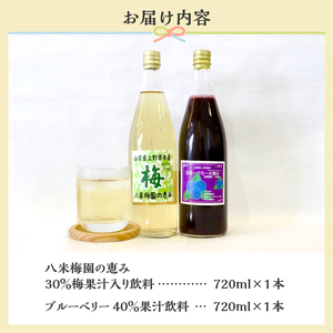 ＼＼先行予約／／八米梅園の恵み&ブルーベリーの恵み(720ml×2本) 梅ジュース ブルーベリージュース 無添加 自然栽培 八米梅園 国産 保存料不使用 梅果汁入り 濃厚 飲料 ドリンク 美味しい 瓶