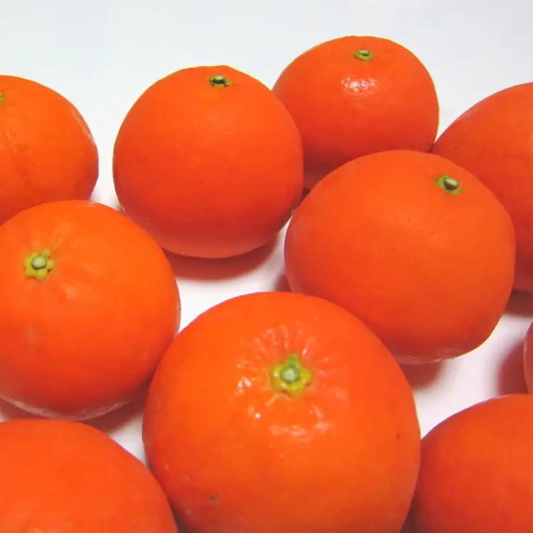 有田育ちの爽快セミノールオレンジ(ご家庭用)　約1kg+200g(補償分)【2027年4月上旬～5月下旬頃に順次発送予定】【ard210A】