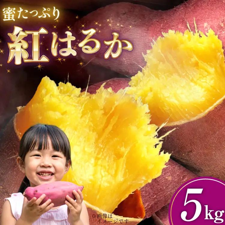 さつまいも 紅はるか 5kg 【2026年11月前半～2027年1月後半発送】