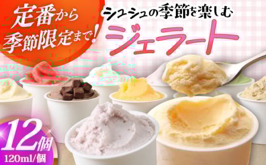 シュシュ 季節のジェラート12個セット  / アイス アイスクリーム ジェラート スイーツ / 大村市 / おおむら夢ファームシュシュ [ACAA427]