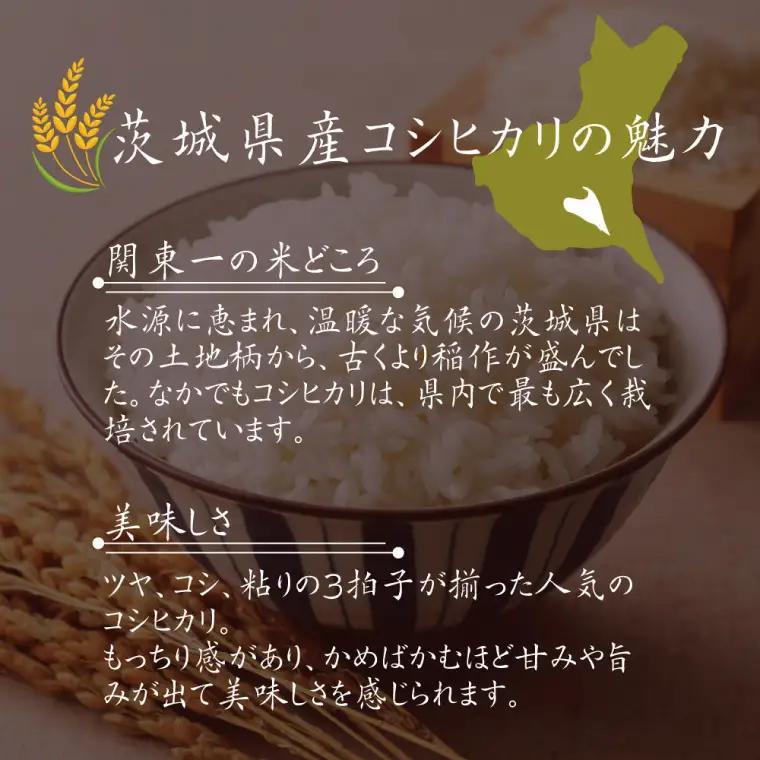 令和7年産 茨城県水戸市常澄産コシヒカリ みと米2kg（EX-5）
