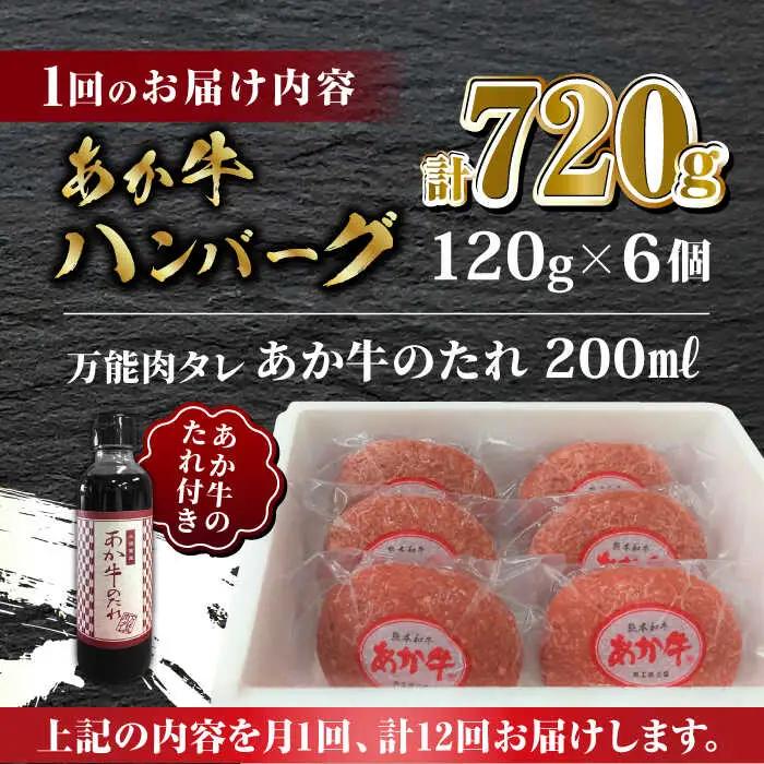 【全12回定期便】あか牛 100％ハンバーグ セット 120g×6個【有限会社 三協畜産】 国産 赤身 赤牛 褐牛 あかうし [ZEB083]