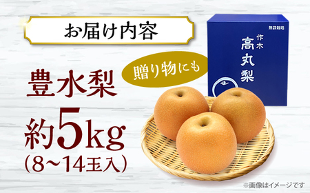 【先行予約】【9月中旬から9月末に順次発送】高丸の梨 「豊水」 5kg（8から14玉入） 豊水 梨 なし フルーツ 果物 ナシ 三次市/高丸農園[APBU002]