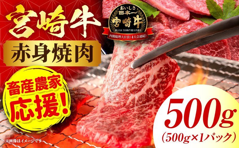 「畜産農家応援」 宮崎牛赤身(ウデorモモ) 焼肉 【500g】_kn085-012