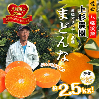 【ふるさと納税】こんな柑橘はじめて!!上杉農園のぷるぷる新食感!!「まどんな」約2.5kg【D39-67】【配送不可地域：離島】【1619931】