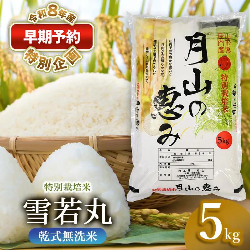特別栽培米 雪若丸 無洗米 5kg 【令和8年産新米早期予約特別企画】