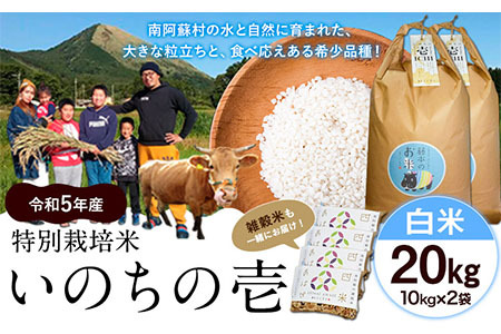 新米 令和6年産 特別栽培米 いのちの壱(白米) 20kg(10kg×2袋) 雑穀米付き《30日以内に出荷予定(土日祝除く)》 熊本県 南阿蘇村 熊本県産 虹色のかば 白米 雑穀米