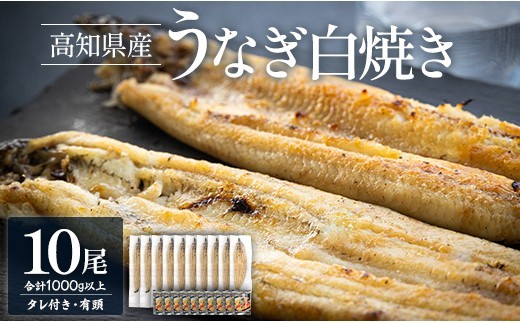 
             蒲焼きタレ付きうなぎ 白焼き 1kg以上 10尾×100～120g 鰻 大容量 国産 鰻 ウナギ 有頭 背開き つまみ ご飯のお供 老舗 土佐湾 吉川水産 うなぎ蒲焼き タレ付き 高知県 香南市 冷凍 7日程度 yw-0082
          
