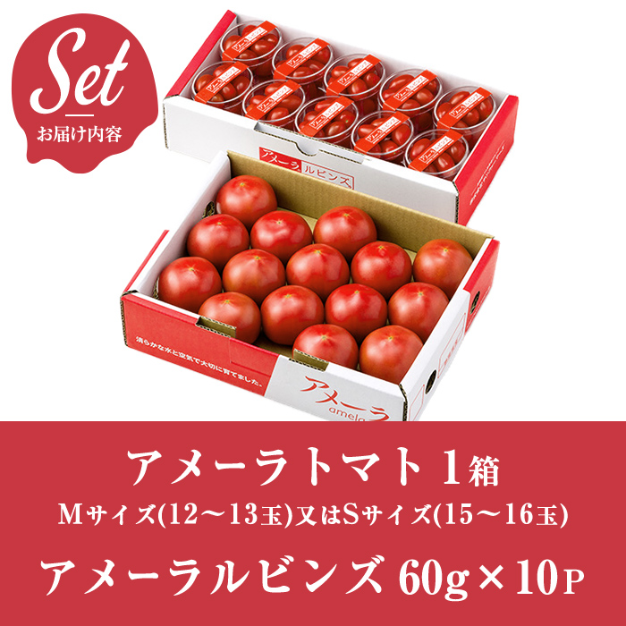 【先行予約】アメーラ＆ルビンズ10P ｜ トマト 野菜 国産