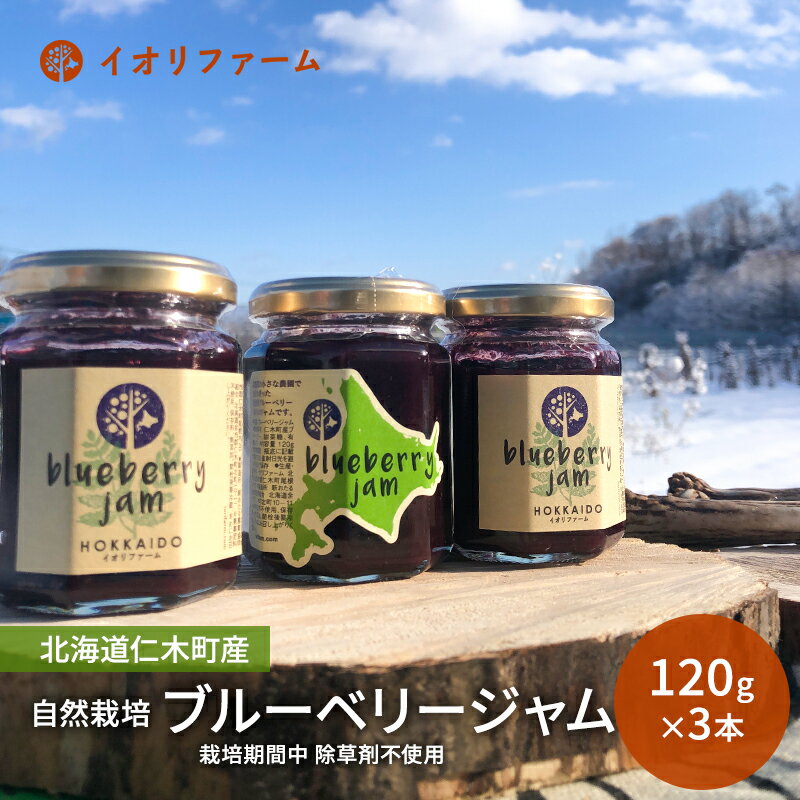 【ふるさと納税】北海道仁木町産 自然栽培ブルーベリージャム 120g×3本 栽培期間中 除草剤・化学農薬・化学肥料不使用 果物 詰合せ セット フルーツ [iori farm hokkaido]