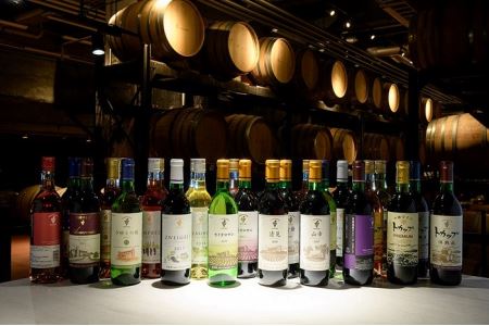 【北海道】赤にこだわったビンテージ12本　人気ワイン　ビンテージワイン　ワイン　北海道ワイン　本格派ワイン　こだわりワイン　ワイン
