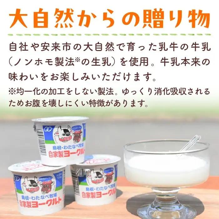 わたなべ牧場のヨーグルトセット24個 ／スプーン付き ヨーグルト 加糖 牧場 生乳 こだわり 甘み 搾りたて 安心 自然派 化学合成物質不使用 島根県 安来市