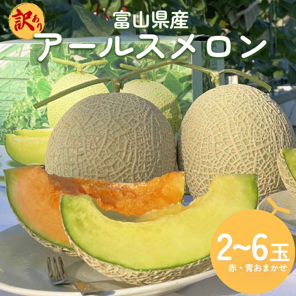 【ふるさと納税】【訳あり】 富山県産 アールスメロン（おまかせ計2-6個） 富山県 氷見市 メロン めろん 果物 くだもの フルーツ