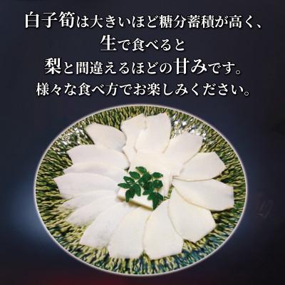ふるさと納税 八幡市 京都府八幡市産 白子京筍 石清水 1本 約1kg 冷凍 |  | 02