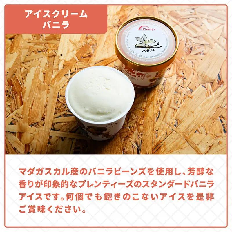【ふるなびWEEK対象】【湘南茅ヶ崎の人気店】プレンティーズのアイスクリーム（バニラ10個） スイーツ 洋菓子 夏 おやつ デザート 手作り ひんやり 10個入