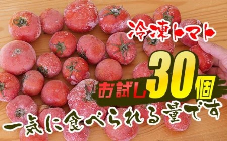 訳あり 冷凍トマト フルーツトマト 冷凍 約1.5kg（30個前後）　皮むき簡単 家庭用