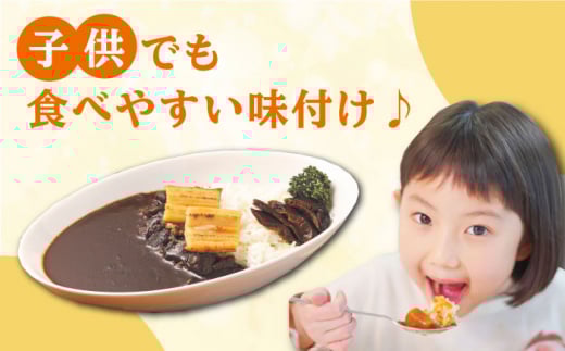 FISH COOK BOOK 対馬防人あなごカレー 4個 セット《 対馬市 》【 うえはら株式会社 】 優勝商品 対馬 あなご 穴子 常温 レトルトカレー スパイス 自衛隊 コラボ おみやげ [WAI