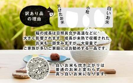 【令和7年産】家計応援米 17kg（5kg+6kg+6kg）【2025年9月下旬より順次発送開始】 ブレンド米 精米 お米 訳あり 米 おすすめ 人気 ランキング