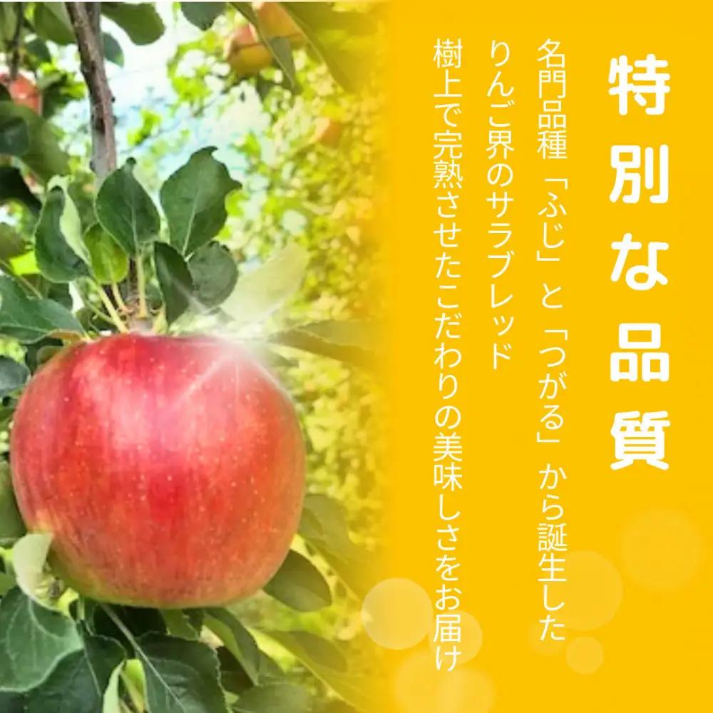 【10月中旬発送 先行予約】樹上熟成　シナノスイート 5kg | りんご シナノスイート りんご