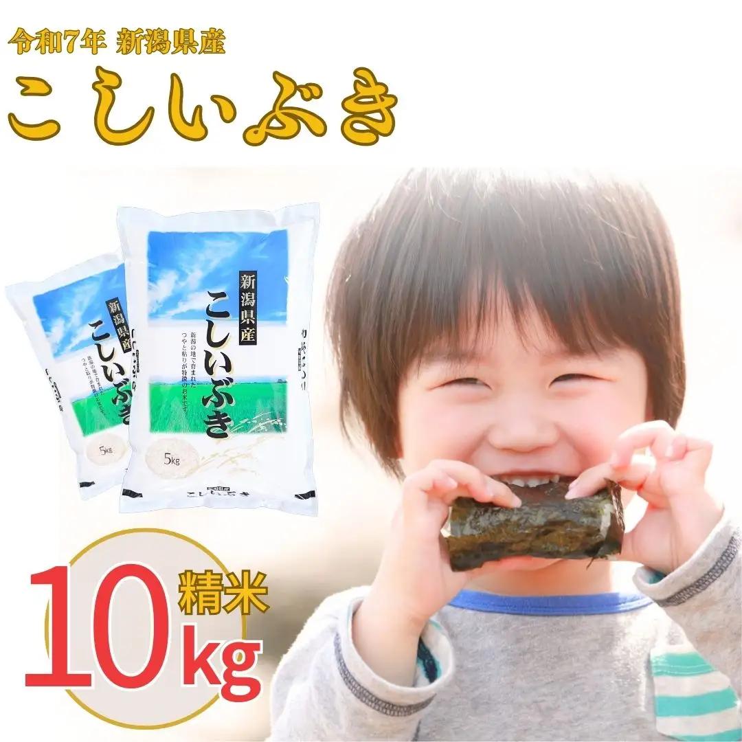 新潟県産 こしいぶき 10kg 令和7年産 精米 白熊
