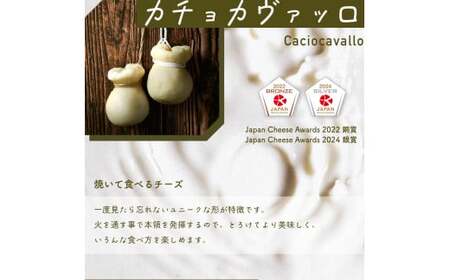 【全商品受賞】ナチュラルチーズ4種セット｜チーズ ナチュラル