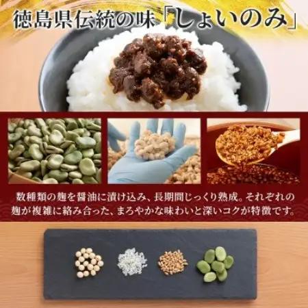 しょいのみ 2種セット うま実 しょうが味 各2箱 計4箱 発酵食品 徳島県 東みよし町【1740194】
