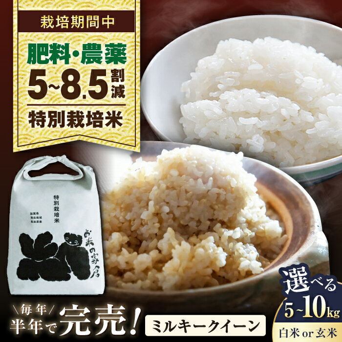 【ふるさと納税】【令和7年産新米】【選べる】特別栽培米ミルキークイーン 5kg 10kg 選べる精米方法 白米 玄米 長浜市/株式会社お米の家倉[AQCP019] 米 お米 玄米 5kg 特別栽培 ミルキークイーン 新米 精米 ごはん