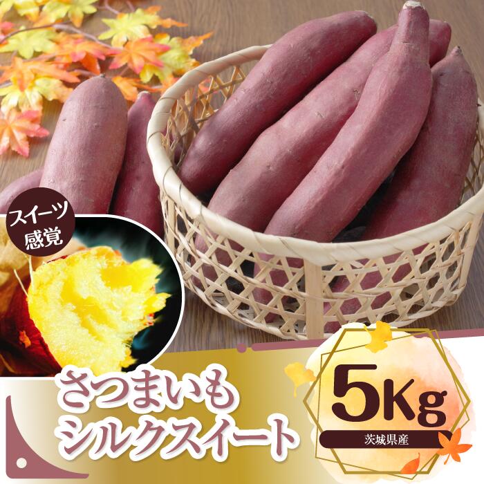 【ふるさと納税】さつまいも　特選シルクスイート 約5kg｜さつまいも 芋 お芋 シルクスイート タネのハシモト 茨城県 行方市(BS-1)