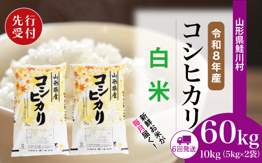＜令和8年産米先行受付＞ 山形県産 こしひかり 【白米】60kg定期便(10kg×6回)　配送時期指定できます！ 令和8年11月上旬より順次配送開始
【※配送時期注意※　令和8年産米予約です】